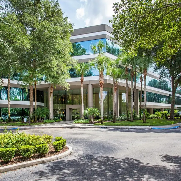 modern-office-building-with-palm-tree-landscaping-sita. Modern office building surrounded by tall palm trees and lush landscaping with reflective glass windows and a curved driveway entrance.