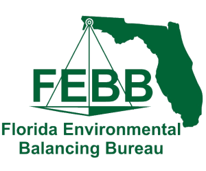 florida-environmental-balancing-bureau-febb-logo-sita. Florida Environmental Balancing Bureau FEBB logo with a green triangular balance scale icon overlaid on the state of Florida outline and green text on a transparent background